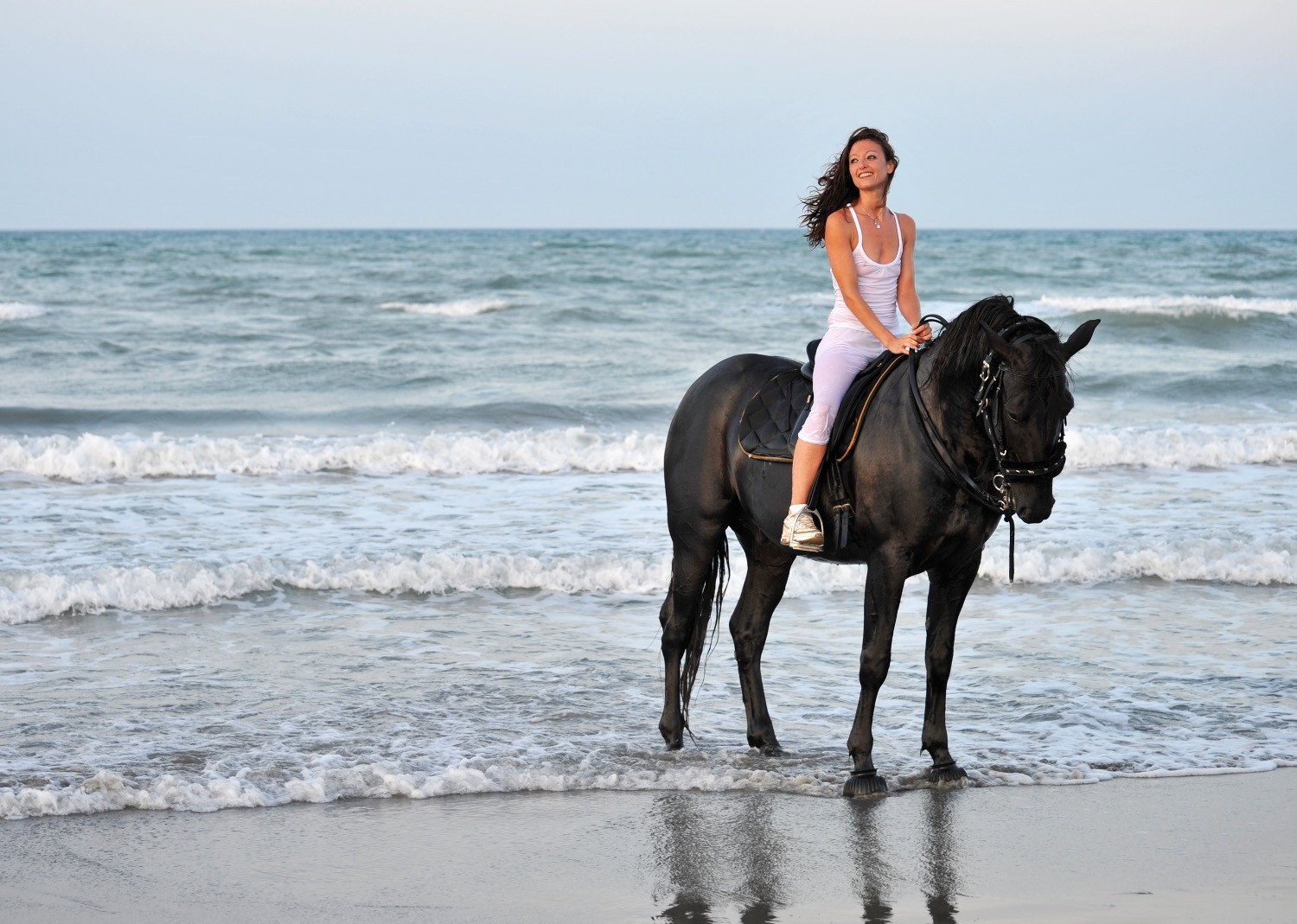 Horse Riding