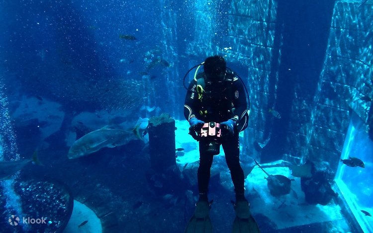 Scuba diving