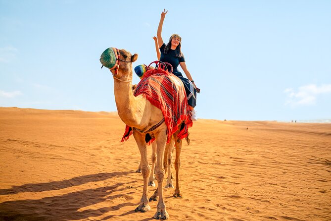 Desert Safari