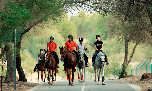 Horse Riding