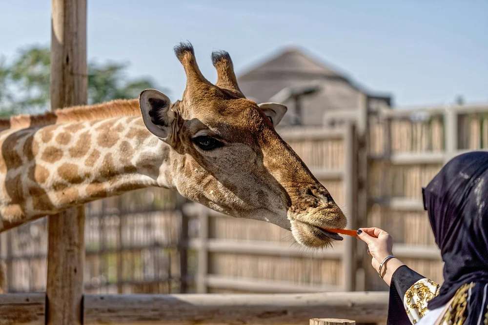 Private Zoo