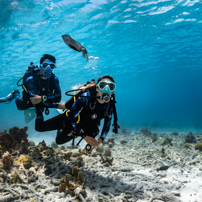 Scuba diving
