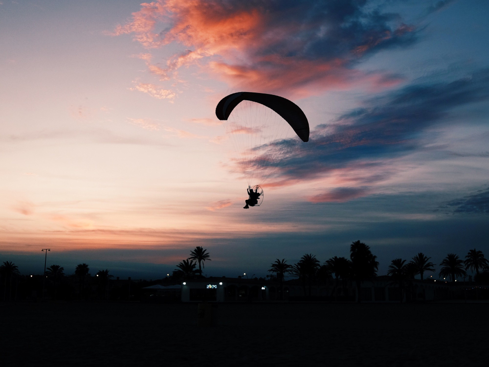 Paramotor