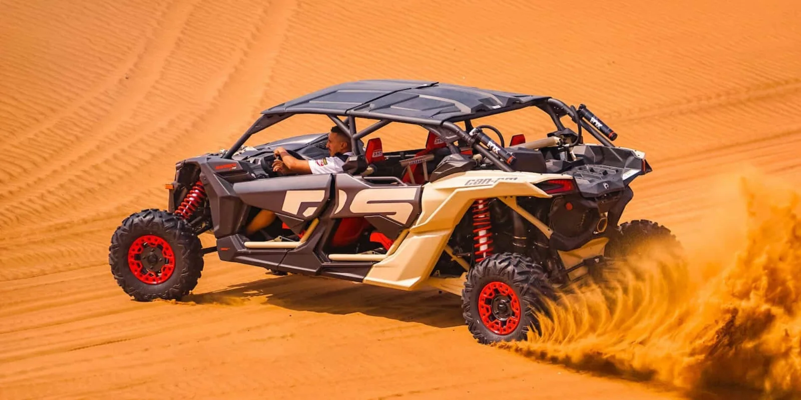 Buggy Tour