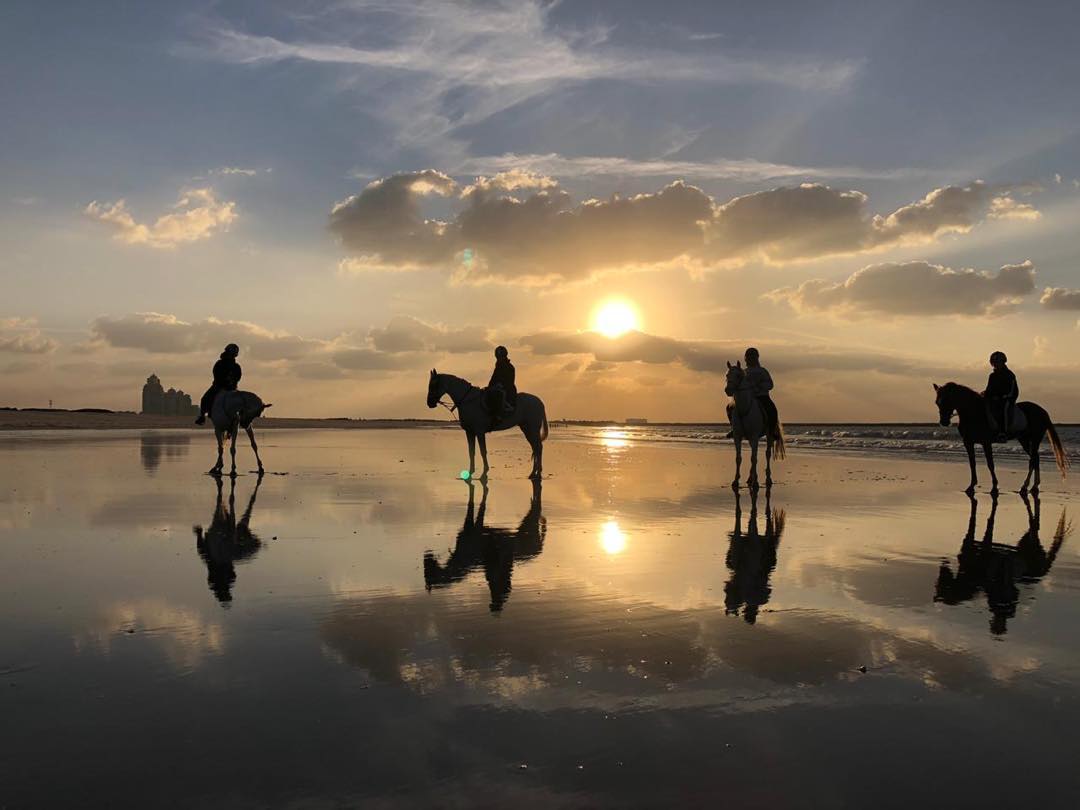 Horse Riding