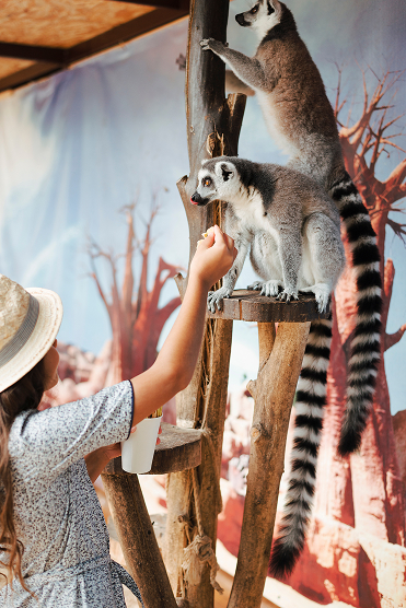 Private Zoo
